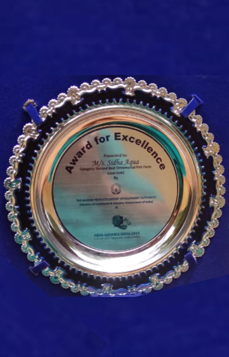 AwardofExcellence_about_slide_SidhaAquaGarden