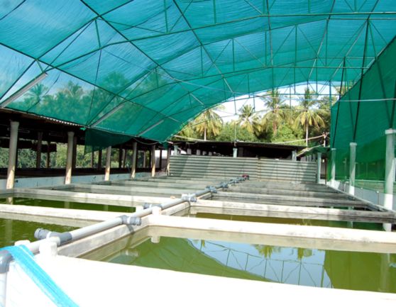 gallery_img_001_SidhaAqua