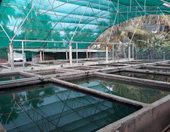 gallery_img_004_SidhaAqua