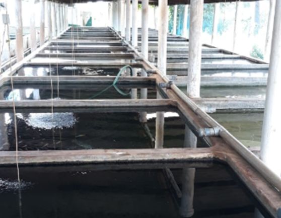 gallery_img_006_SidhaAqua