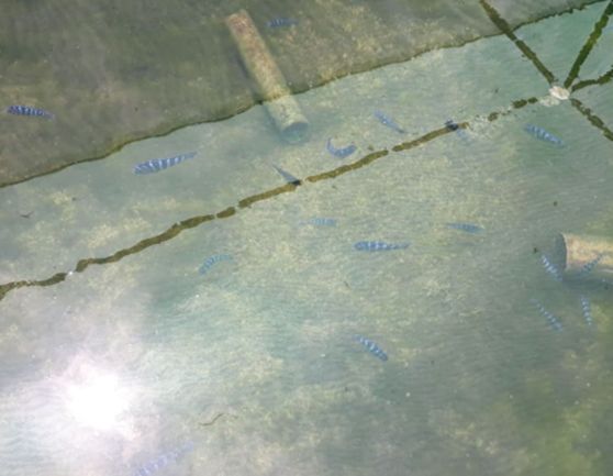 gallery_img_013_SidhaAqua