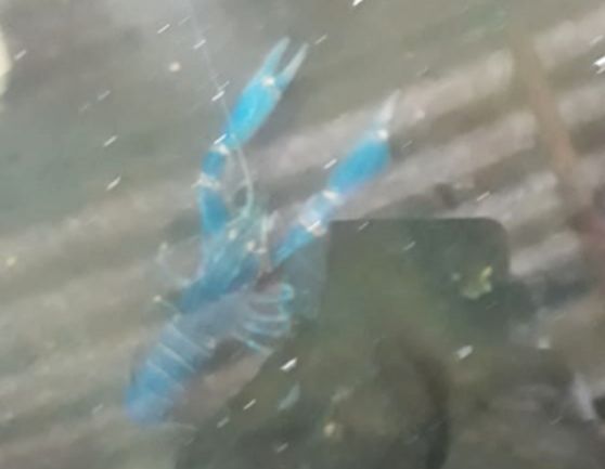 gallery_img_015_SidhaAqua