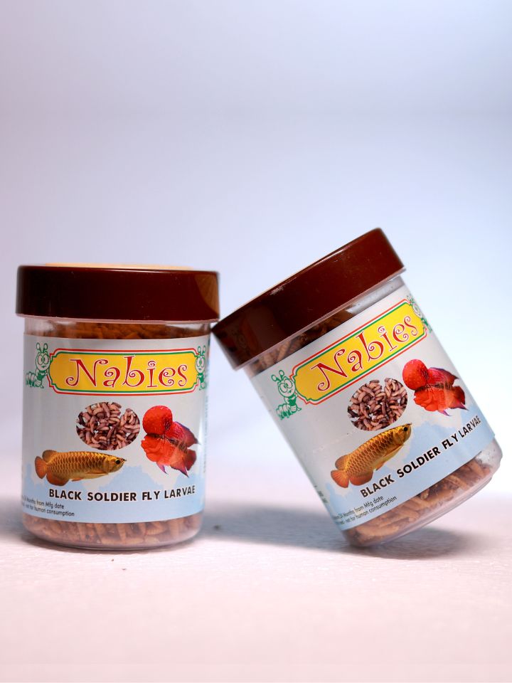 Nabies Black Soldier Fly Larvae – High-Protein Natural Fish Feed